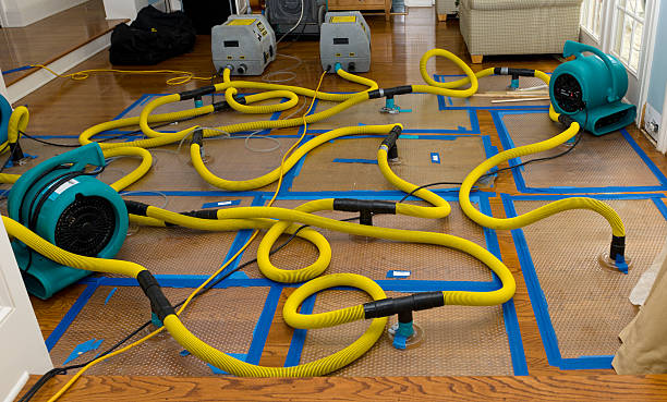 Professional Crawl Space Water Removal technician working in Chester, NJ